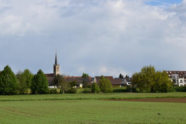 FDP Brühl-Rohrhof